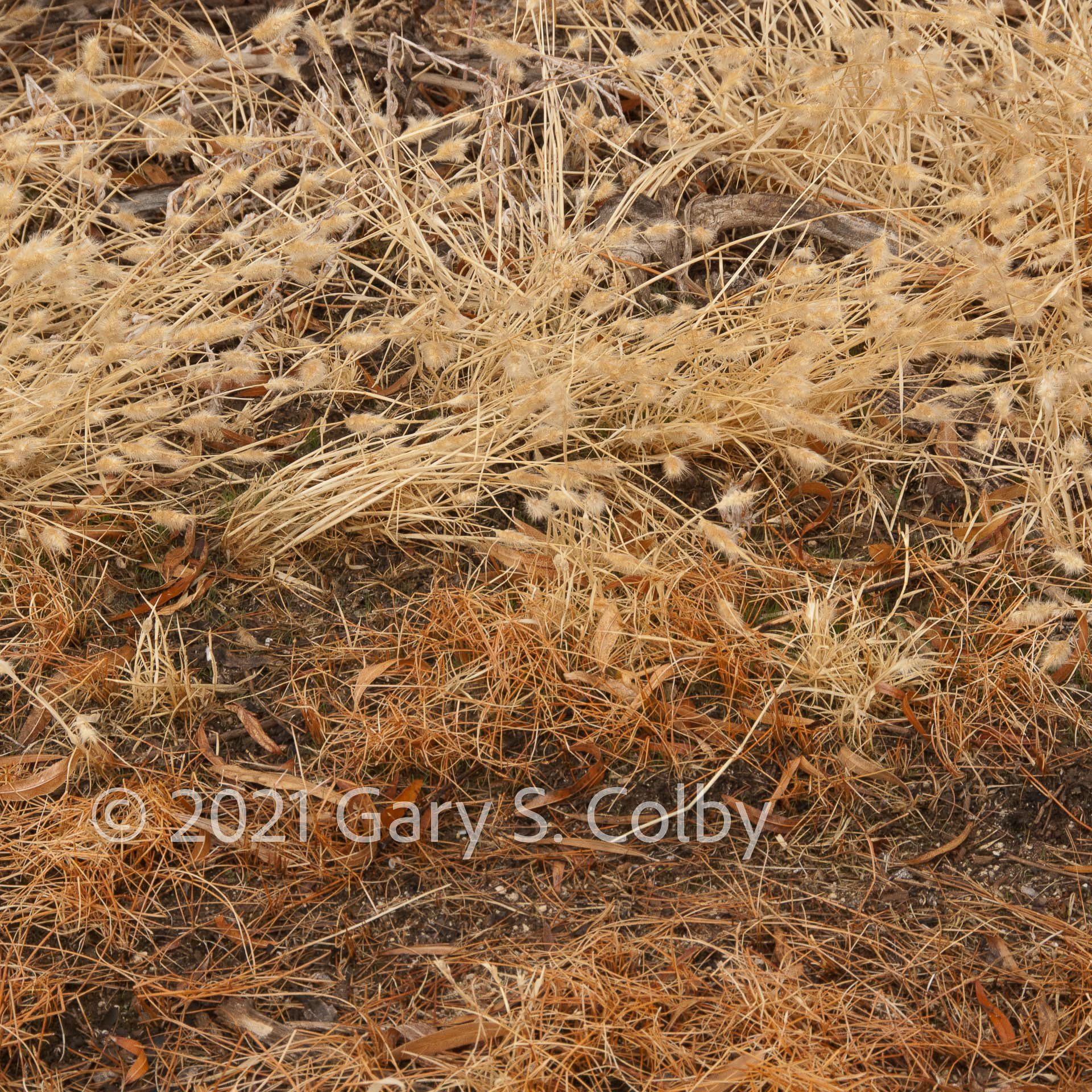 Colby_090121_9746_drv.jpg