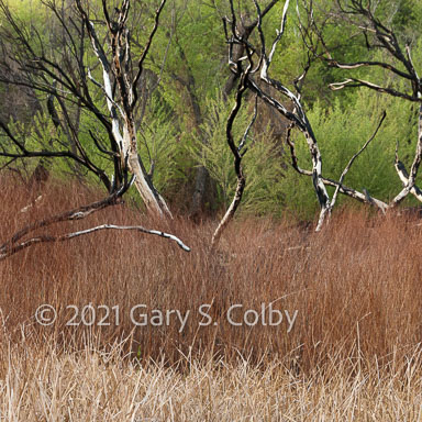 Colby_070324_0513_drv.jpg