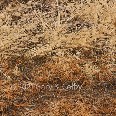 Colby_090121_9746_drv.jpg